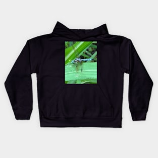 Dragonfly Kids Hoodie